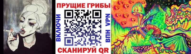 Псилоцибиновые грибы ЛСД  сколько стоит  blacksprut ссылка  дарк нет как зайти  Адыгейск 